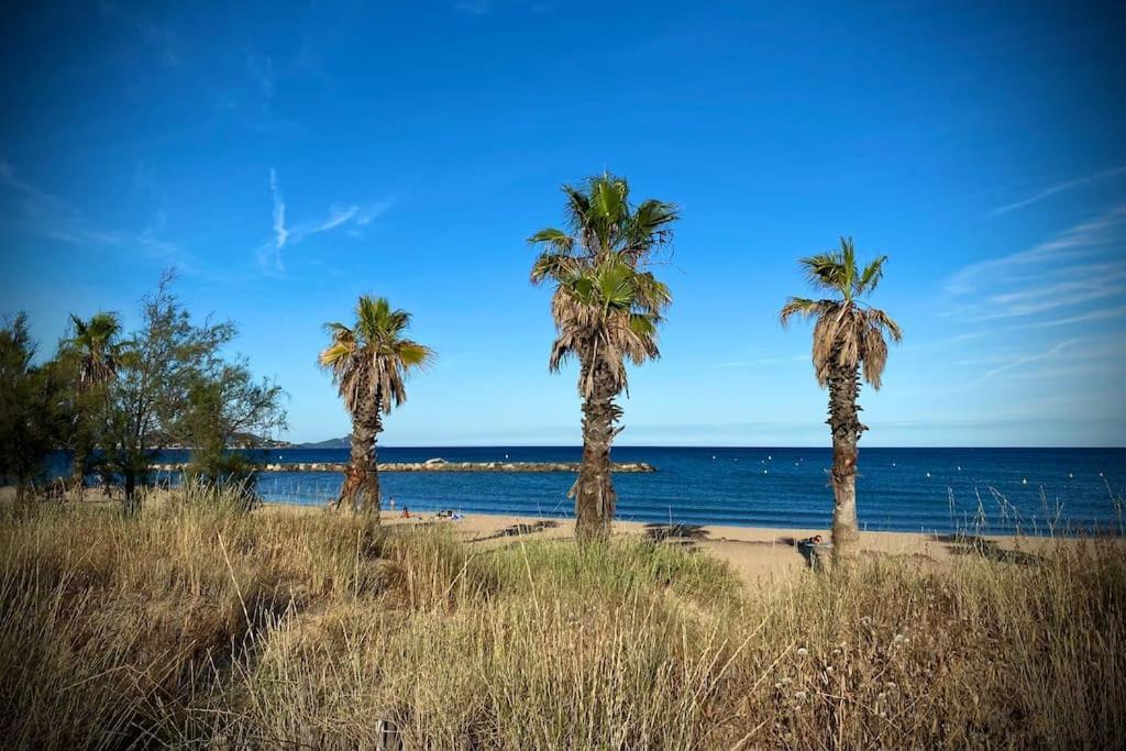 Port-Frejus, Le Paladien, Appartement 2 Pieces Climatise, Terrasse & Parking Eksteriør bilde